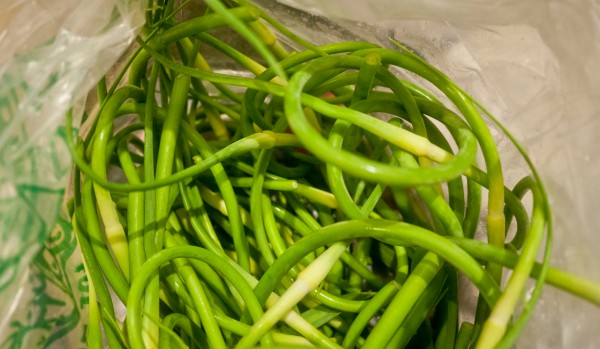 Bag of scapes!